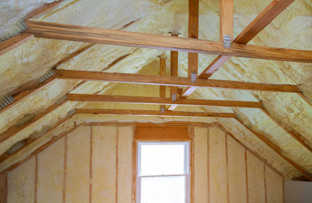 Insulation Inspection Services in Cobden, IL