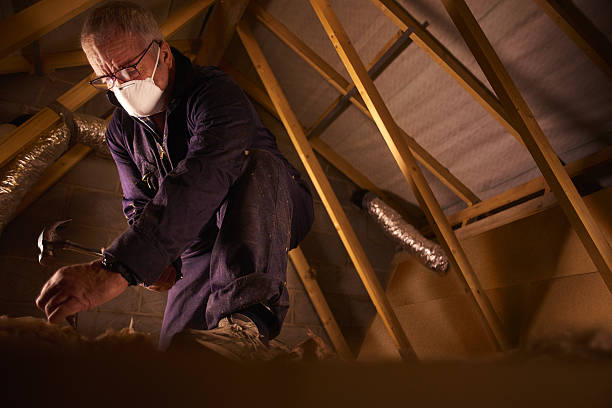 Insulation Contractors for Homes in Cobden, IL
